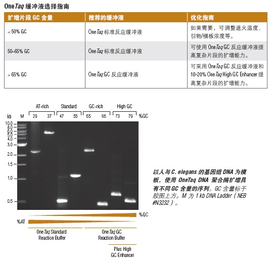 OneTaq® 热启动 Quick-Load® 2X 预混液（提供 GC 缓冲液）                  货   号                  #M0489L