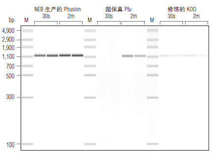 Phusion® 超保真 PCR 预混液（提供 HF 缓冲液）                 货   号                  #M0531L