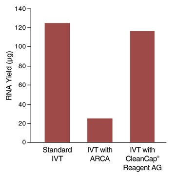 HiScribe™ T7 mRNA 合成试剂盒（含 CleanCap® Reagent AG）            货   号                  #E2080S