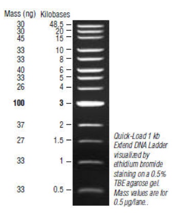 Quick-Load 1 kb Extend DNA Ladder            货   号                  #N3239S