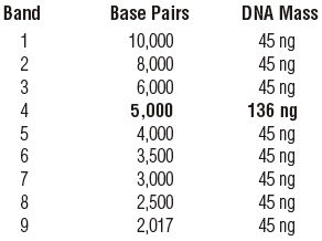超螺旋 DNA Ladder            货   号                  #N0472S