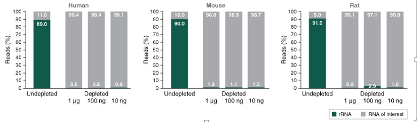 NEBNext® rRNA 去除试剂盒 v2（人/小鼠/大鼠）            货   号                  #E7400L