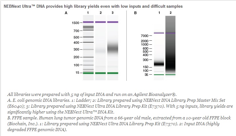 NEBNext DNA 超快速文库制备试剂盒            货   号                  #E7370L