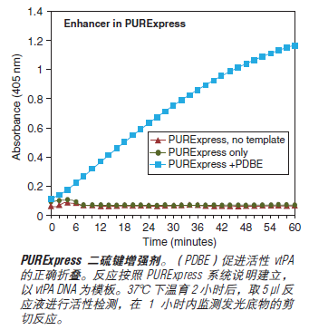 PURExpress® 体外蛋白合成试剂盒            货   号                  #E6800L