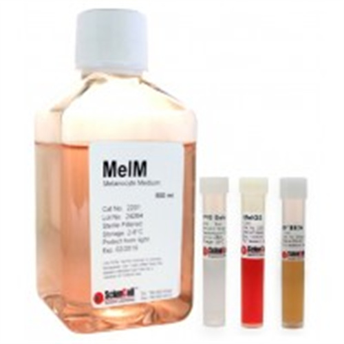 ScienCell，黑色素细胞培养基-2 MelM-2