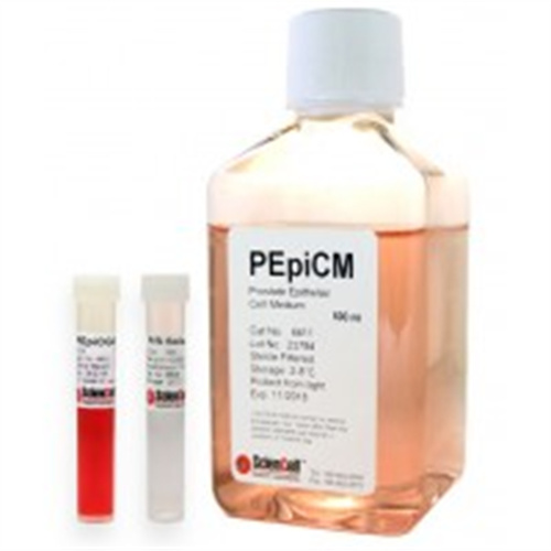 ScienCell 前列腺上皮细胞培养基PEpiCM