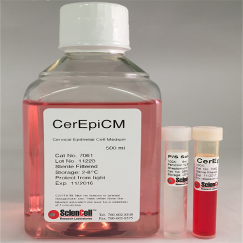 ScienCell子宫上皮细胞培养基CerEpiCM