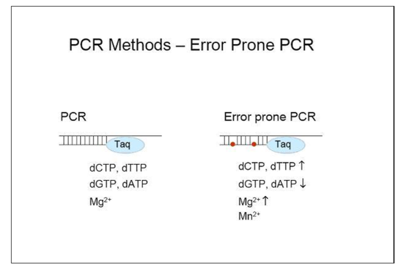 天恩泽即用型易错PCR试剂盒