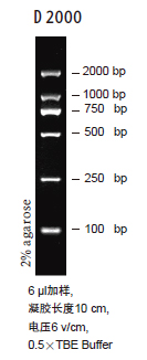 天根D2000 DNA Marker(MD114) 200次