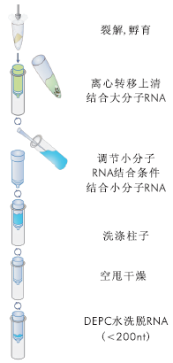植物RNA小量提取试剂盒 常规试剂溶液