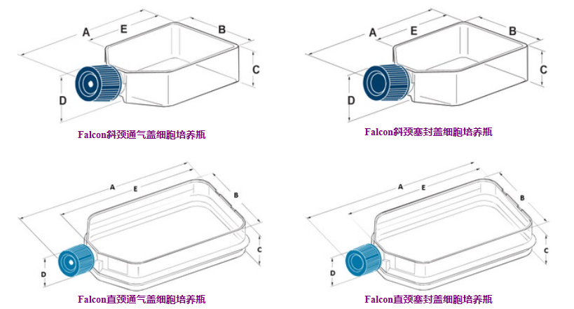 BDfalcon细胞培养瓶25cm2 50ml斜颈透气盖TC